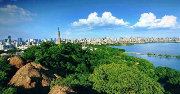 學(xué)習(xí)國外苗木行業(yè)經(jīng)驗，搶先了解國內(nèi)市場動態(tài)