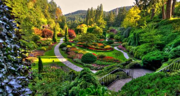 學(xué)習(xí)國外苗木行業(yè)經(jīng)驗，搶先了解國內(nèi)市場動態(tài)